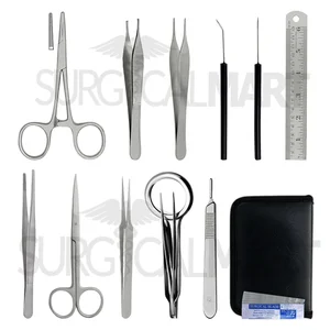 Birds Dissection Set of 15