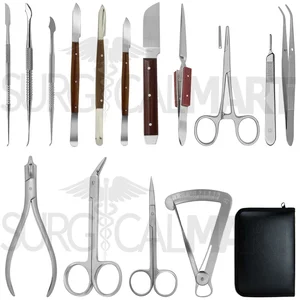 Fixed Prosthesis and Ceramic Laboratory Instrument Kit for Restorative Dentistry