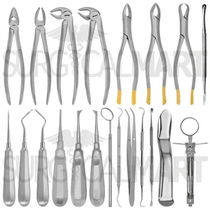 Conjunto Básico Pc de Elevadores y Forceps para Extracción Dental de Raíces de 21 Piezas
