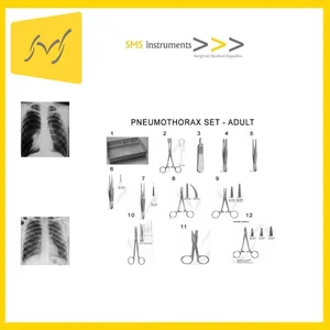 PNEUMOTHORAX - ADULT Set of 19 (090211329)
