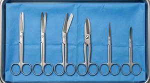 Maintenance Scissors Tools For Set of 6 (090211421)