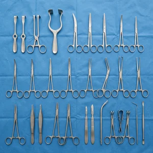 Appendix Adult Set of 31 (090211509)