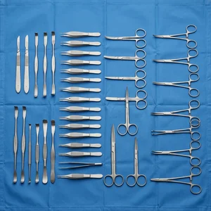 Appendix Child Set of 31 (090211510)