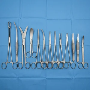 Delivery Set of 13 (090211588)