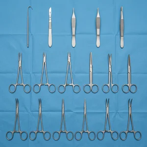 Feline Spay Kit Set of 17 (090211632)