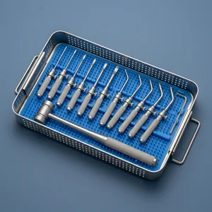 Conjunto de 11 Piezas de Osteotomos Sinusales con Mazo de Lucae Rectos y Angulados con Topes L-Key