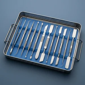 12 Pcs Dental Laboratory Technicians Kit #3