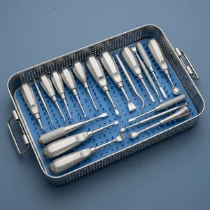 15 Pcs Dental Elevators Instruments Set (090212001)