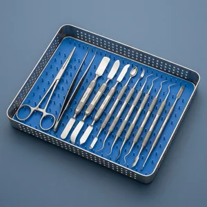 15 Pcs Modeling Instruments Dental Laboratory Set (090212007)