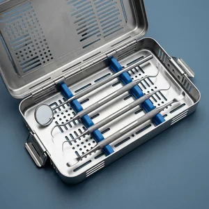 4 Pcs Dental Tartar Calculus Plaque Remover Set
