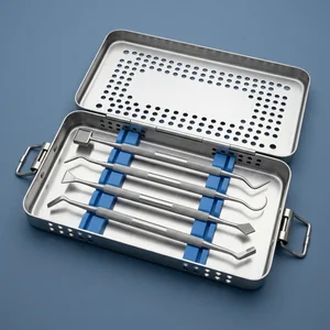 4 Pcs Orthodontic Tools Kit Dentistry Molar Band Pushers, Setter, Mershon, Scaler (090212159)