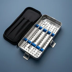 4 Pcs Professional Dental Tartar Scraper Tools Set with Pouch