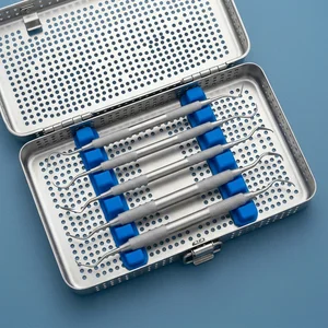 5 Pcs Feline Dental Kit Scaler & Probe Set for Small Animals