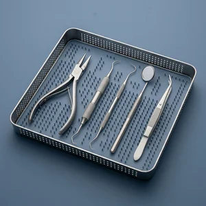 5 Pcs Ortho Kit of Bird Beak Plier Tower Scaler Probe and Mouth Mirror (090212208)