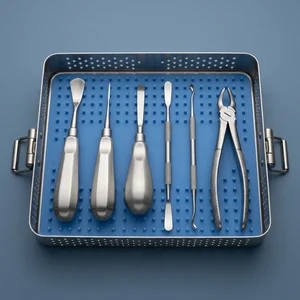 6 Pcs Basic Exodontia Kit