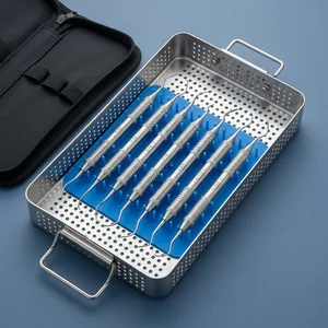 7 Pcs Gracey Curettes Set Periodontal Scaler with Zipper Case (090212271)