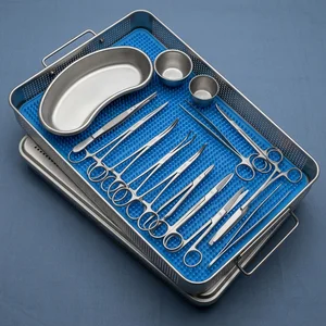 Delivery Surgical Instruments Set (21-Piece Set, 11 Types) (090212373)