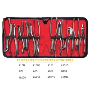 9-Piece American Tooth Extraction Forceps Set for Dental Surgery