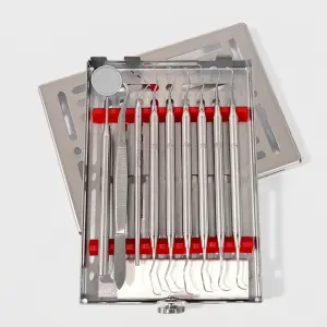 Klassisches parodontales Instrumentenset für dentale Parodontalchirurgie und den Zugang zu kleinen Mundhöhlen – surgivalley (090010195)