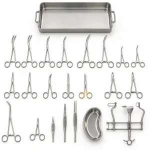 Cardiovascular Thoracic Surgical Instrument Set for Cardiovascular and Thoracic Procedures (090210662)