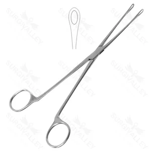 Blake Gallensteinzange gerade 20,0 cm veterinärchirurgische Instrumente – surgivalley (001210183)
