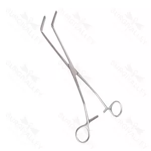 Punta de pinza de resección anterior Glassman, mandíbula dentada de 25mm, 24.7cm – surgivalley (004210033)