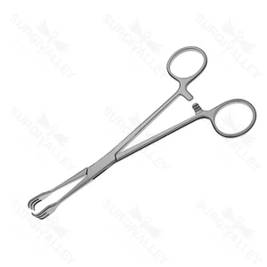 Lahey Traction Clamp Forceps 3 X 3 Teeth Prong Triple Hook 15.0 cm (6") – surgivalley (001210202)