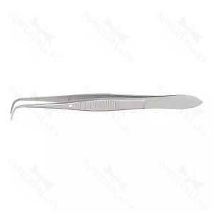 Eye Dressing Forceps for General Surgery – surgivalley (001210118)