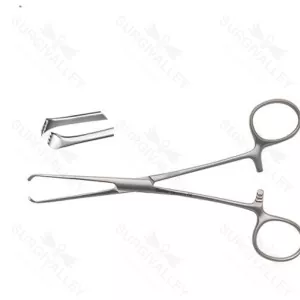 Single-Use College Dental Forceps with Configuration Options – surgivalley (055210169)