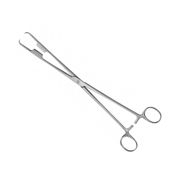 ABEL Uterine Dressing Forceps 1