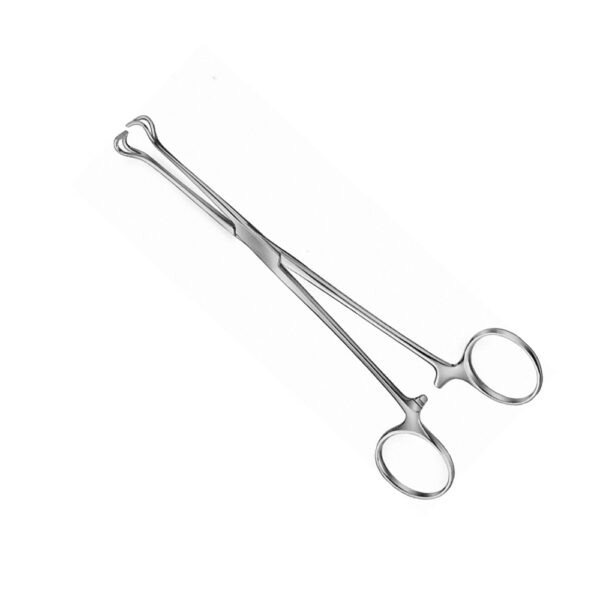 BABCOCK Forceps 2