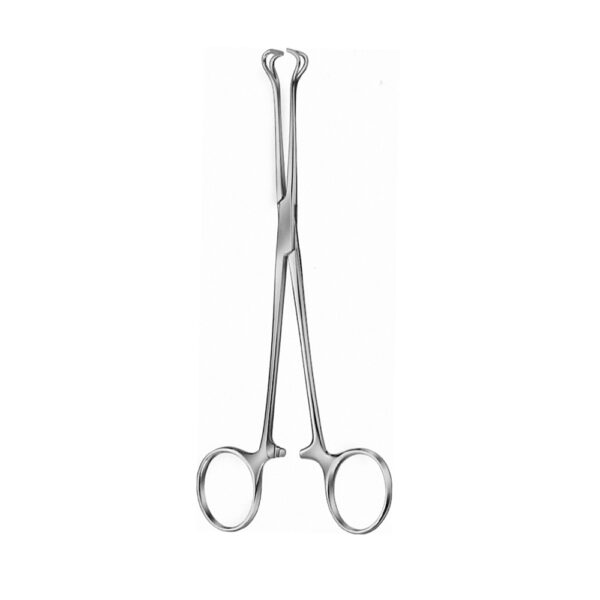 BABCOCK Forceps 3