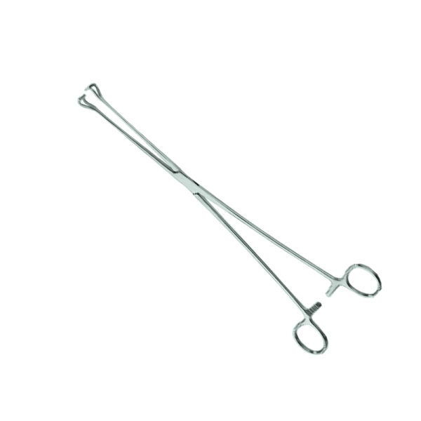 BABCOCK Tissue Holding Forceps 2