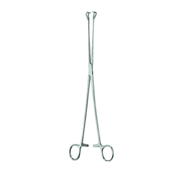 BABCOCK Tissue Holding Forceps 3