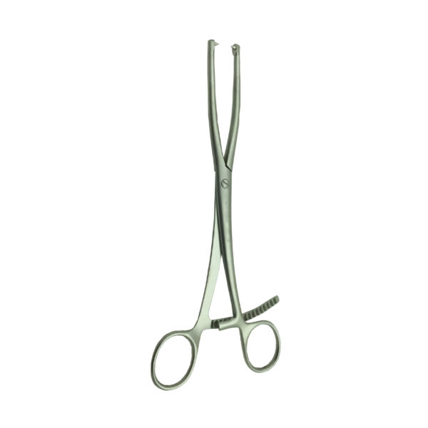 Bone Holding Forceps 2