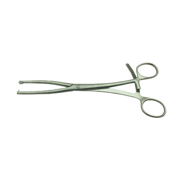 Bone Holding Forceps