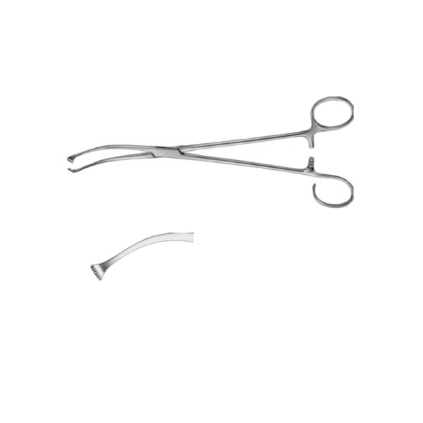 COLVER Tonsil Seizing Clamp 1