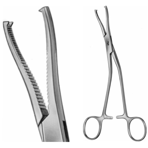 DINGMANN Bone Holding Forceps3 1