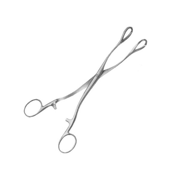 HEYWOOD SMITH Tongue Clamp 2