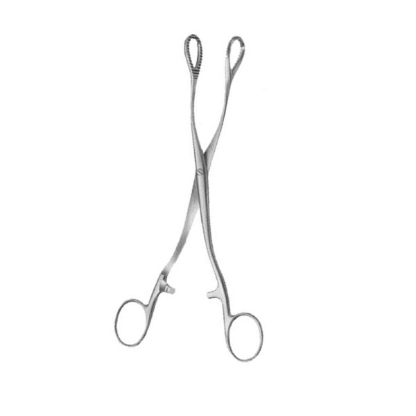 HEYWOOD SMITH Tongue Clamp 3