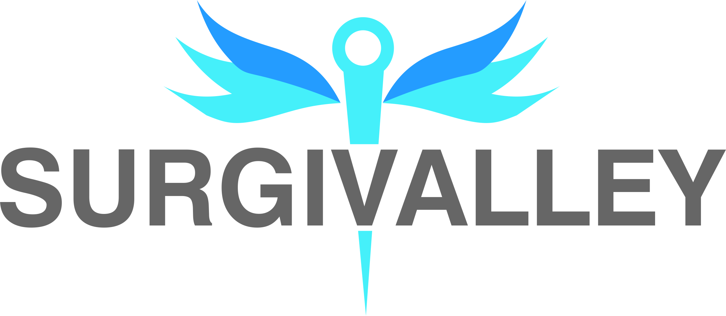 Surgivalley, Complete Range of Medical Devices Manufacturer
