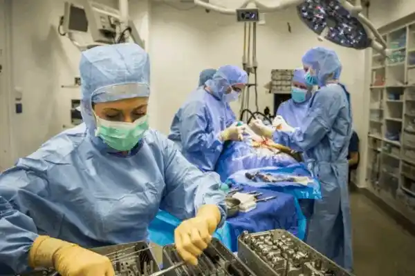 Training and education of healthcare staff for proper cleaning sterilization and handling of surgical instruments.