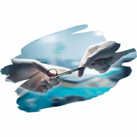 Quality Assurance for single use surgical instruments ensuring precision safety and global compliance.